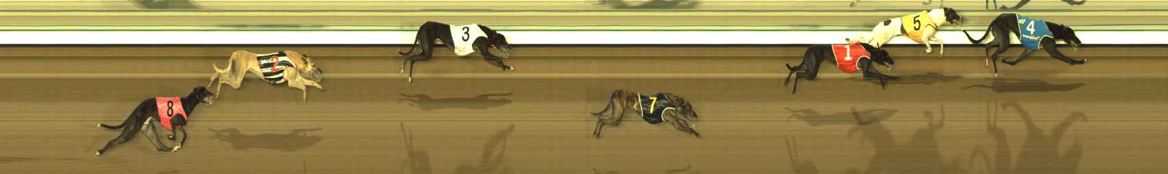 Race result finish photo